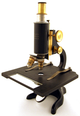 Ernst Leitz Wetzlar: Mikroskop für Gehirnschnitte