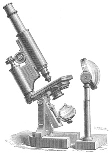 Großes Hufeisen-Mikroskop von Hartnack