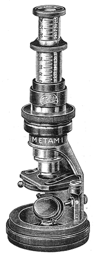 Abbildung Metami in: Mikroskopie für Naturfreunde (2) 1924