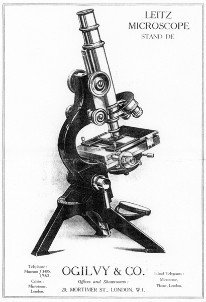 Ernst Leitz Wetzlar: Druckschrift zu Mikroskopstativ DE