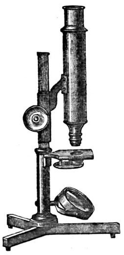 Abb.aus: Friedrich Merkel: Das Mikroskop und seine Anwendung, München 1875