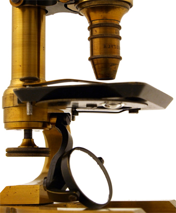 Mikroskop Stativ V von E. Gundlach Berlin, Nr. 239, Detail