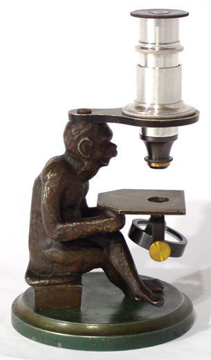 Moreau: "Monkey Microscope"