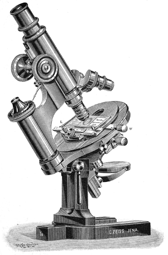 Carl Zeiss Jena Mikroskopstativ Ia, Abb. aus: Carl Zeiss Jena, Optische Werkstaette: Microscopes et Appareils Accessoires; No. 30; Jena 1895