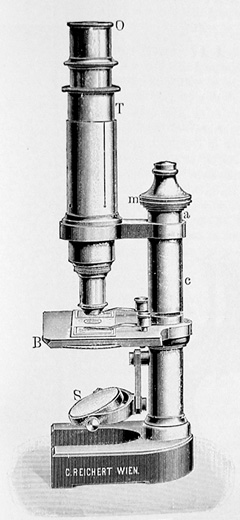 Reichert Stativ IV aus: Mikroskope und Nebenapparate DS/4; Optische Werke C. Reichert / Wien; Wien 1918 