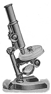 Schieck-Trichinenmikroskop. Abb. aus: A. Johne: Trichinenschauer; 7.Auflage; Verlagsbuchhandlung Paul Parey; Berlin; 1902