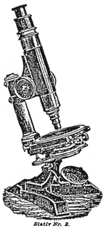 W. & H. Seibert, Stativ Nr.2 von 1890; Abb. aus: W. & H. Seibert: Preis-Verzeichniss von W. & H. Seibert Wetzlar über Mikroskope und mikroskopische Hilfsapparate; No. 21; August 1890