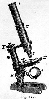 Wasserlein Mikroskop Stativ A. aus: Das Mikroskop; Dr. Julius Vogel; dritte vermehrte Auflage; Denicke's Verlag Georg Reinke; Berlin 1879 